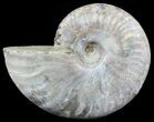 Silver Iridescent Ammonite - Madagascar #51501-1